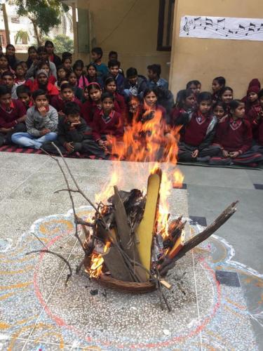 Lohri Celebration